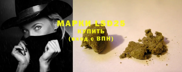 эйфоретик Арсеньев