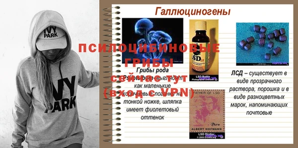 прущие крисы Армянск