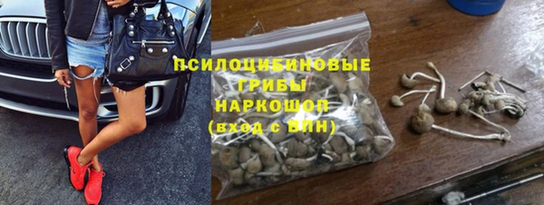 СК Аркадак
