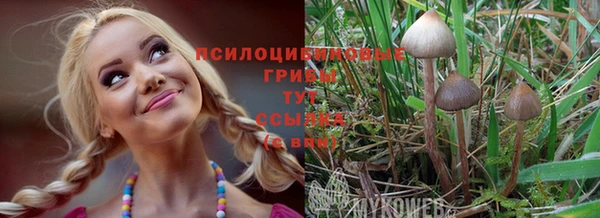 прущие крисы Армянск