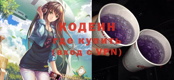 эйфоретик Арсеньев