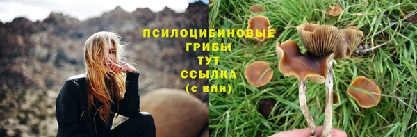 СК Аркадак