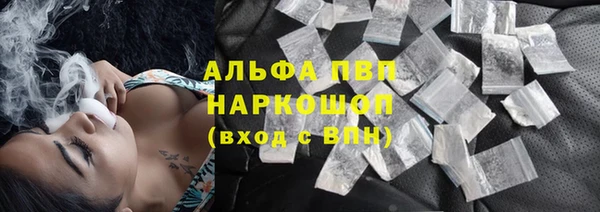 СК Аркадак