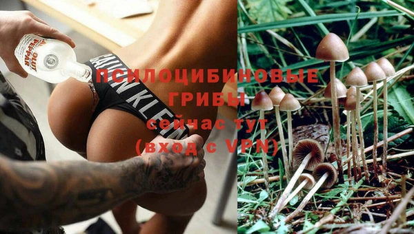 СК Аркадак