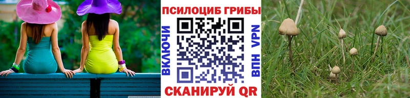 Купить где  Серов  Псилоцибиновые грибы GOLDEN TEACHER 
